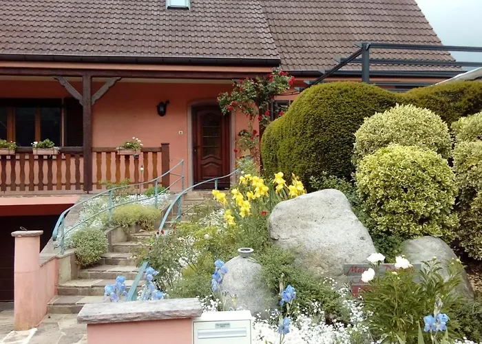 Marcia Donatti-a L'ombre Des Coteaux Rio De Janeiro 3*