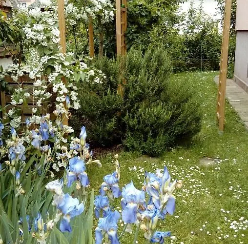 Marcia Donatti-a L'ombre Des Coteaux Rio De Janeiro Bed & Breakfast 3*