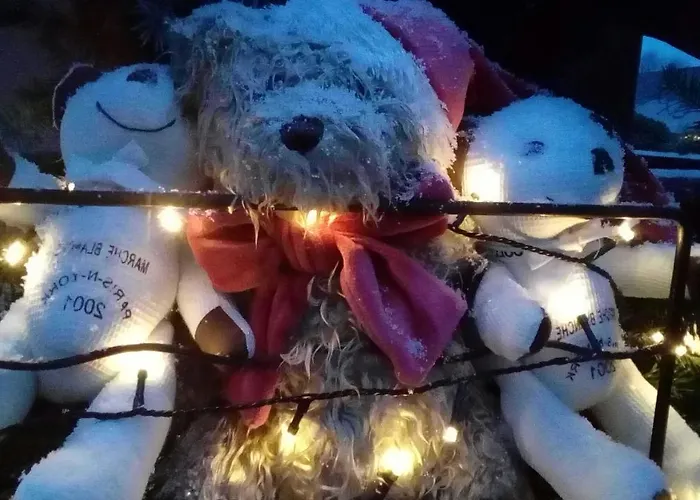 Marcia Donatti-a L'ombre Des Coteaux Rio De Janeiro Bed & Breakfast 3*